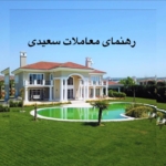 رهنمای آنلاین سعیدی