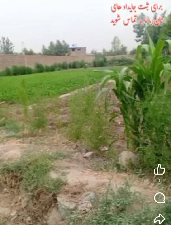 زمین فروشی مساحت۳۰۰مترمربع تالقان، تخار
