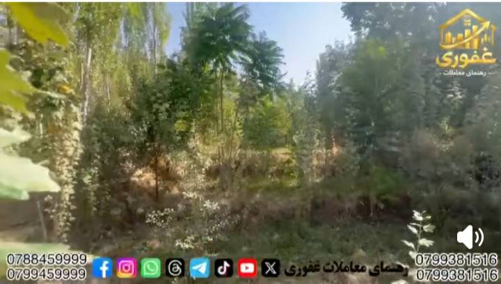 زمین 1100متر مربع فروشی، میمنه-فاریاب