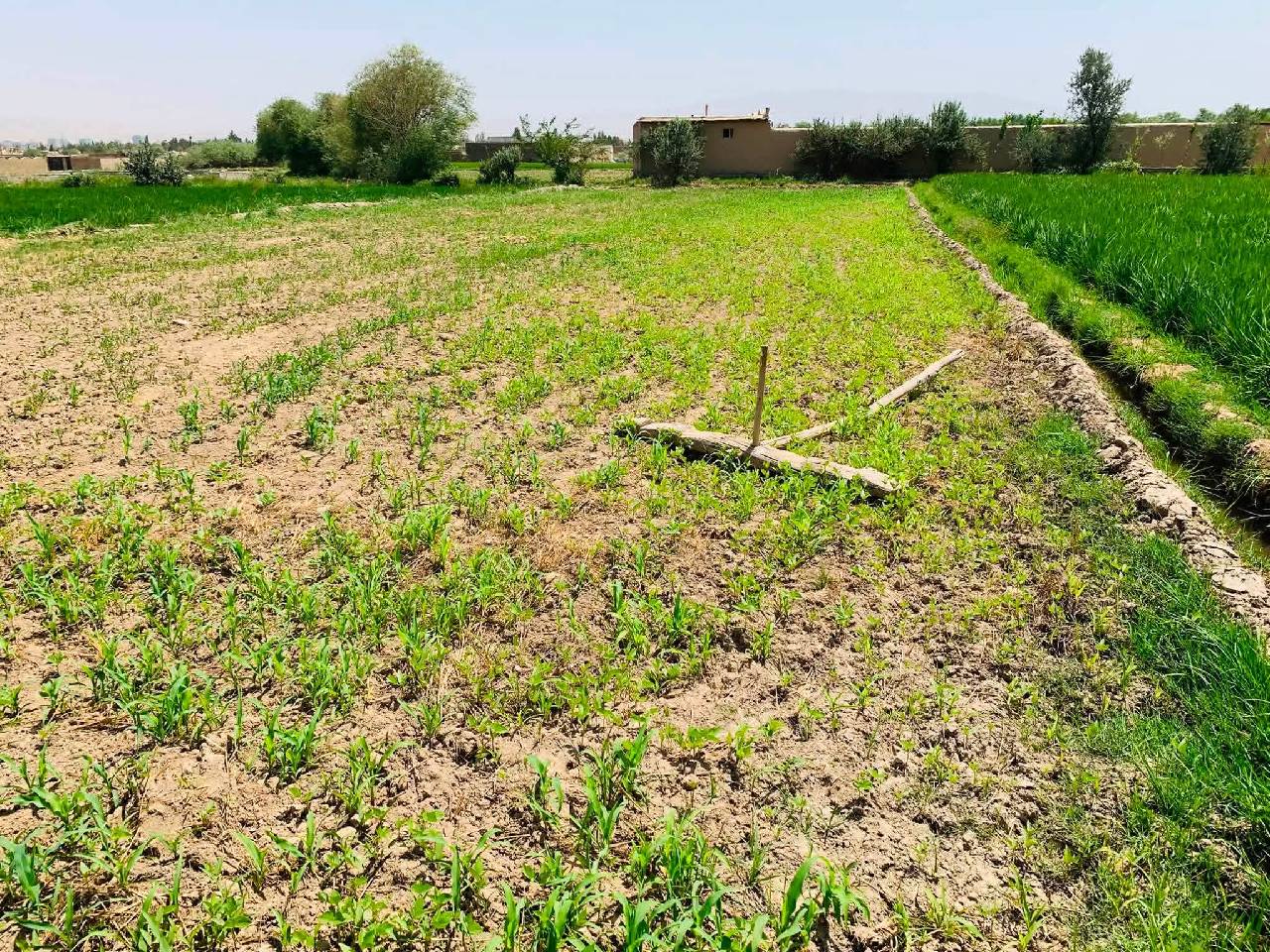 زمین 10بسوه فروشی تالقان-تخار