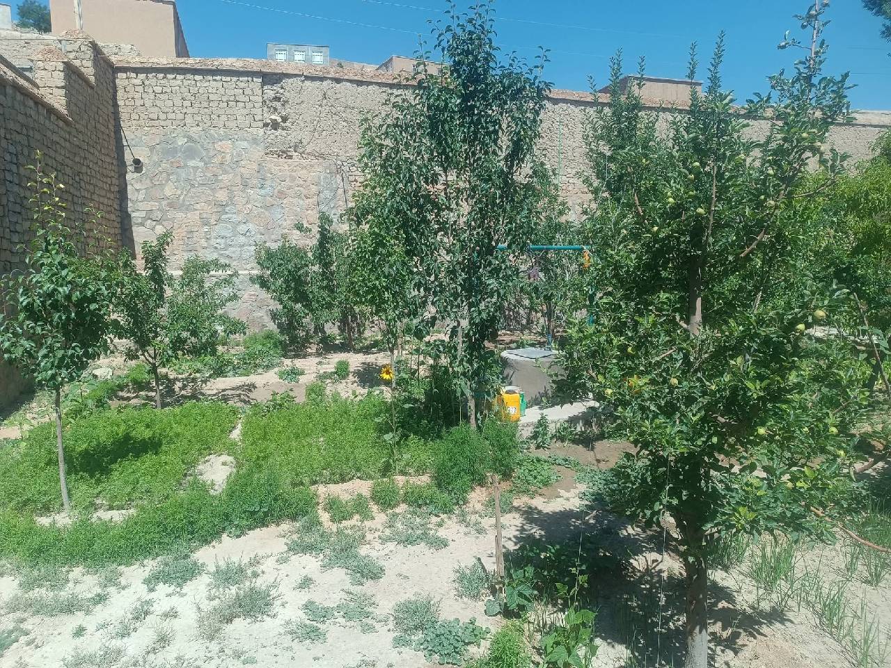 حویلی فروشی سه اطاق _غور