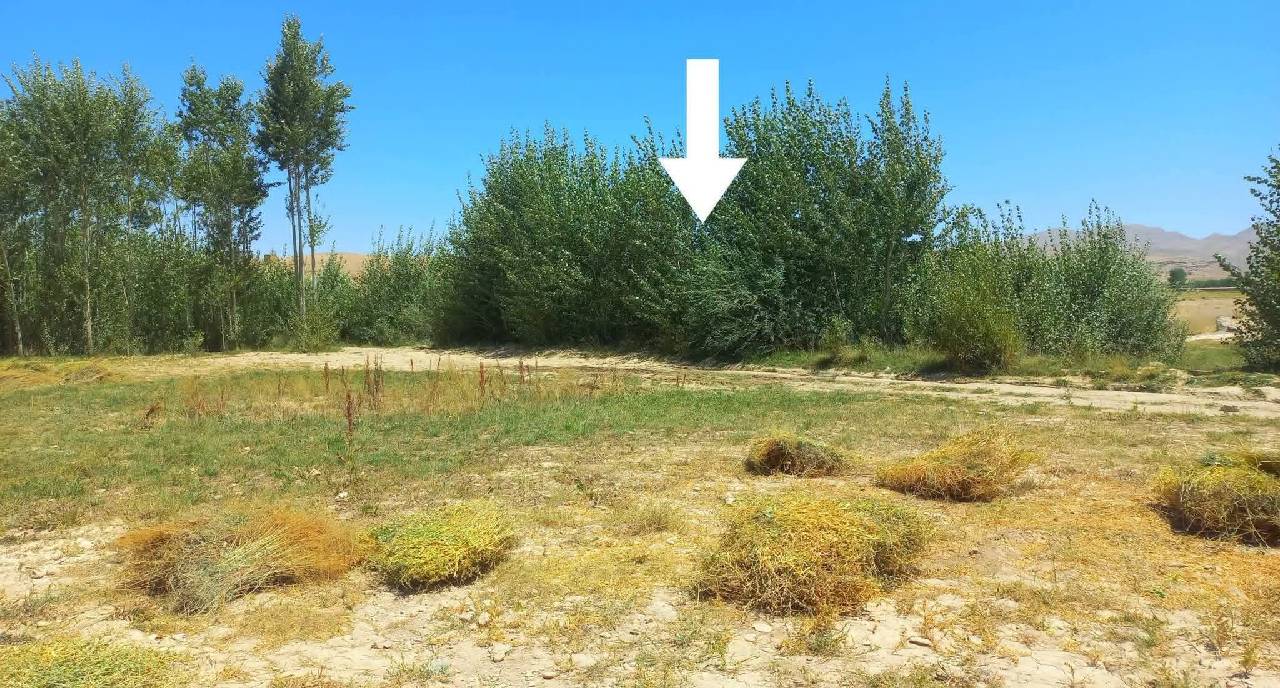 دو نمره زمین آبی فروشی، فیروز کوه _غور