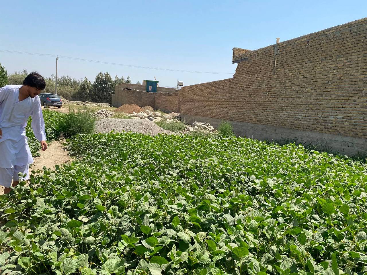 زمین فروشی مساحت ۲۰۹متر مربع، تخار