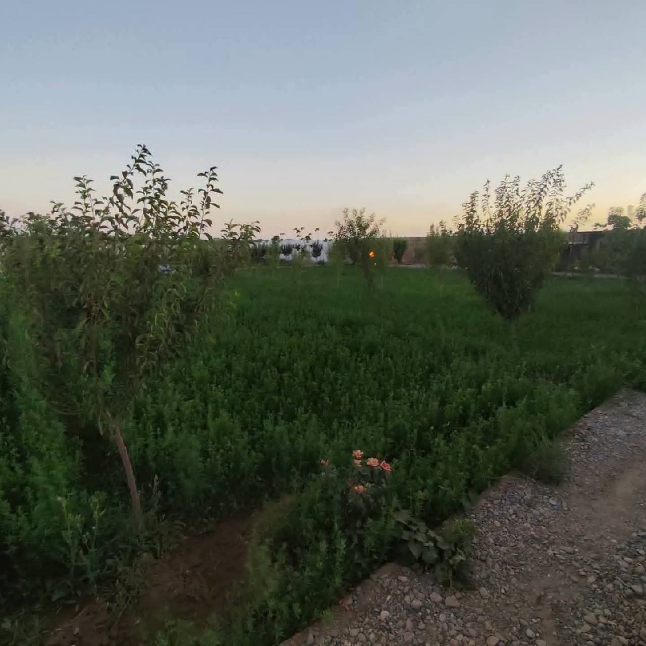 باغ رویایی مساحت ۴٠٠ متر-هرات سرک پل هاشمی