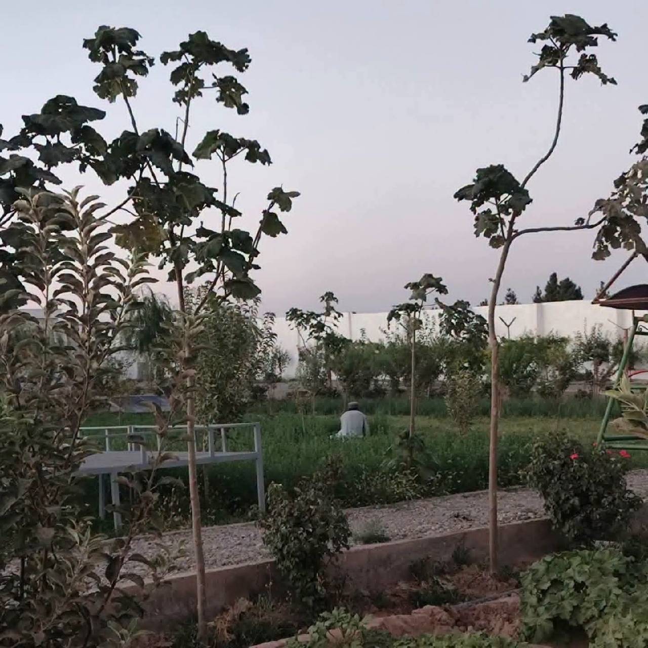 باغ رویایی مساحت ۴٠٠ متر-هرات سرک پل هاشمی