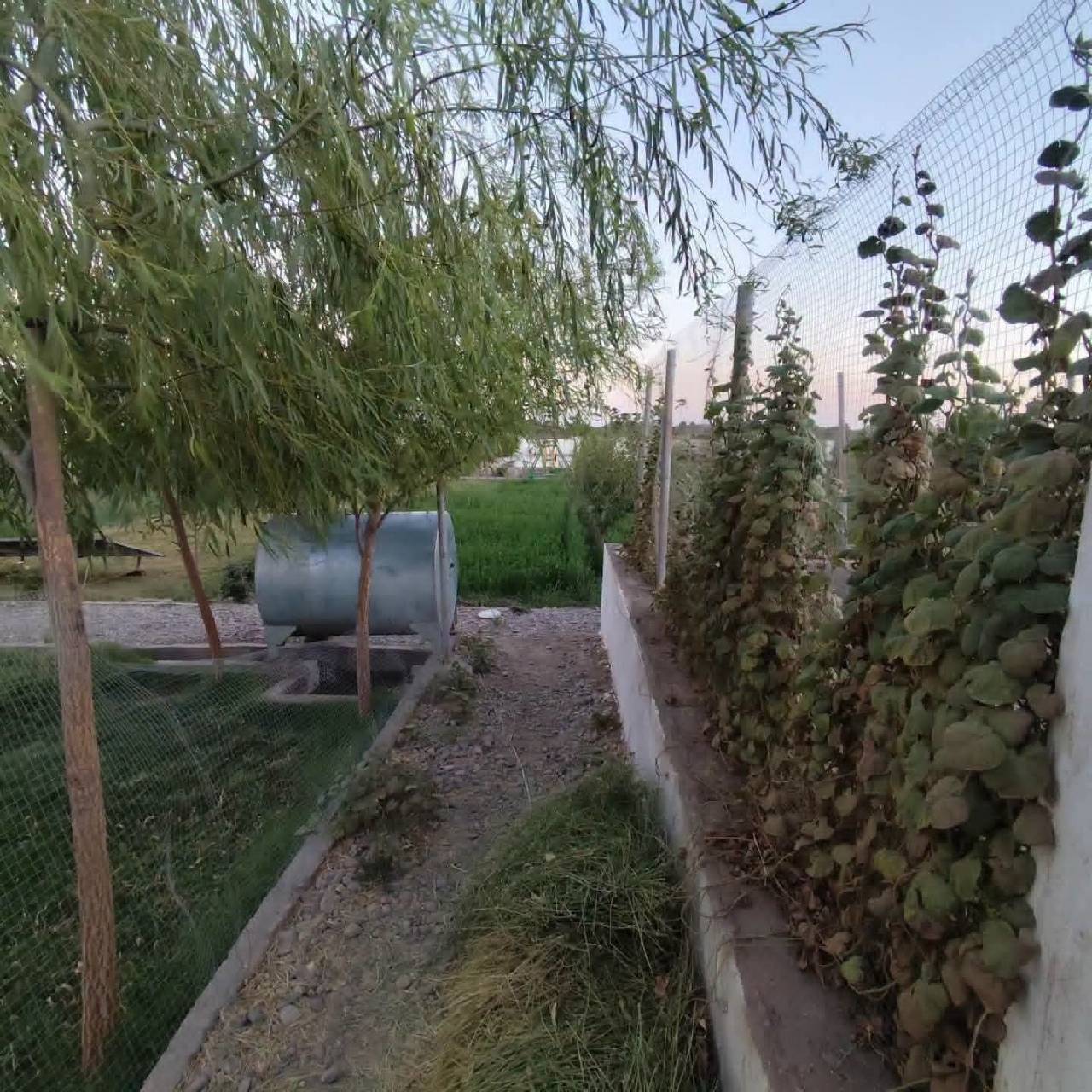 باغ رویایی مساحت ۴٠٠ متر-هرات سرک پل هاشمی