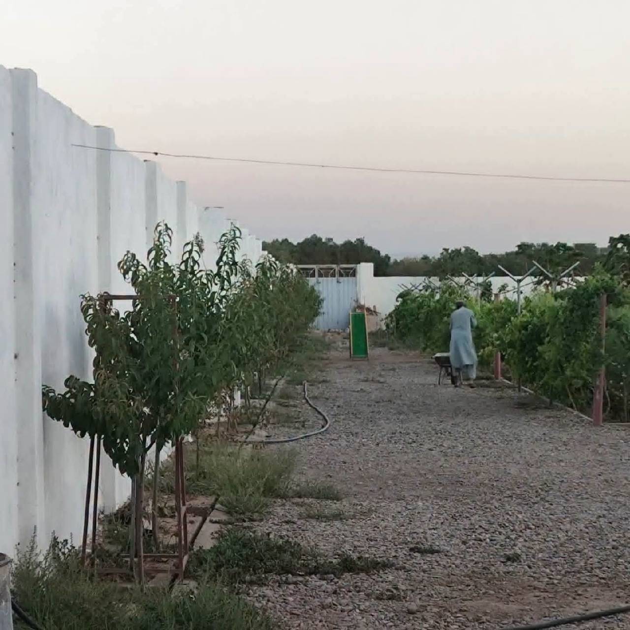 باغ رویایی مساحت ۴٠٠ متر-هرات سرک پل هاشمی