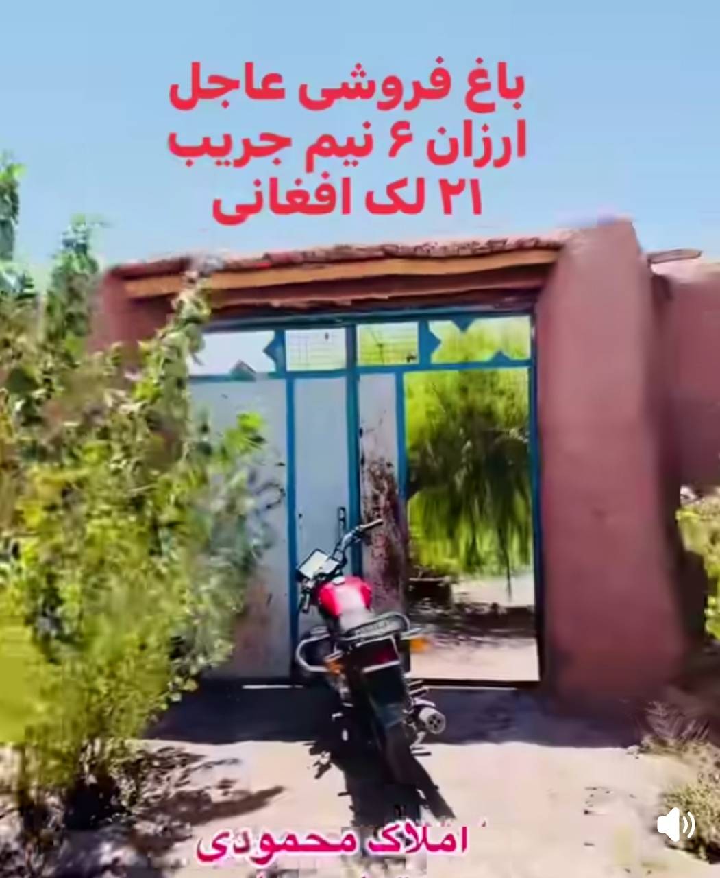 باغ فروشی- شش ونیم جریب هرات پند پاشدان