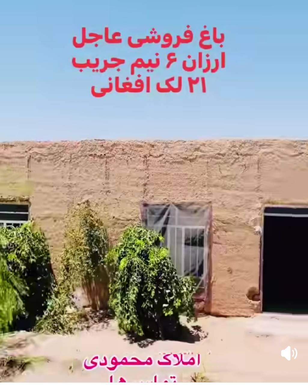 باغ فروشی- شش ونیم جریب هرات پند پاشدان
