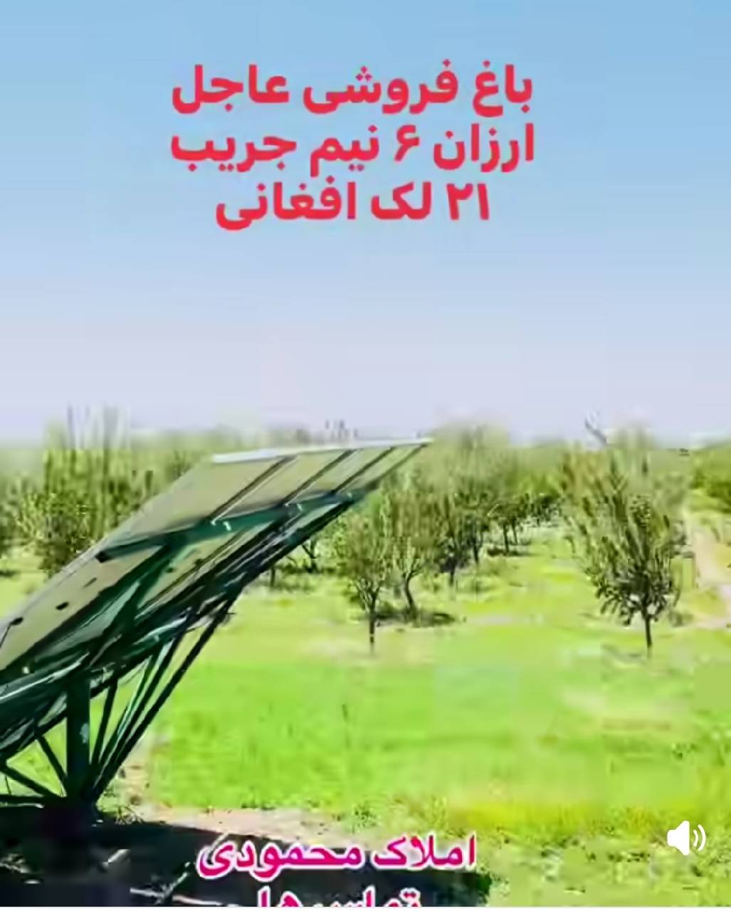 باغ فروشی- شش ونیم جریب هرات پند پاشدان