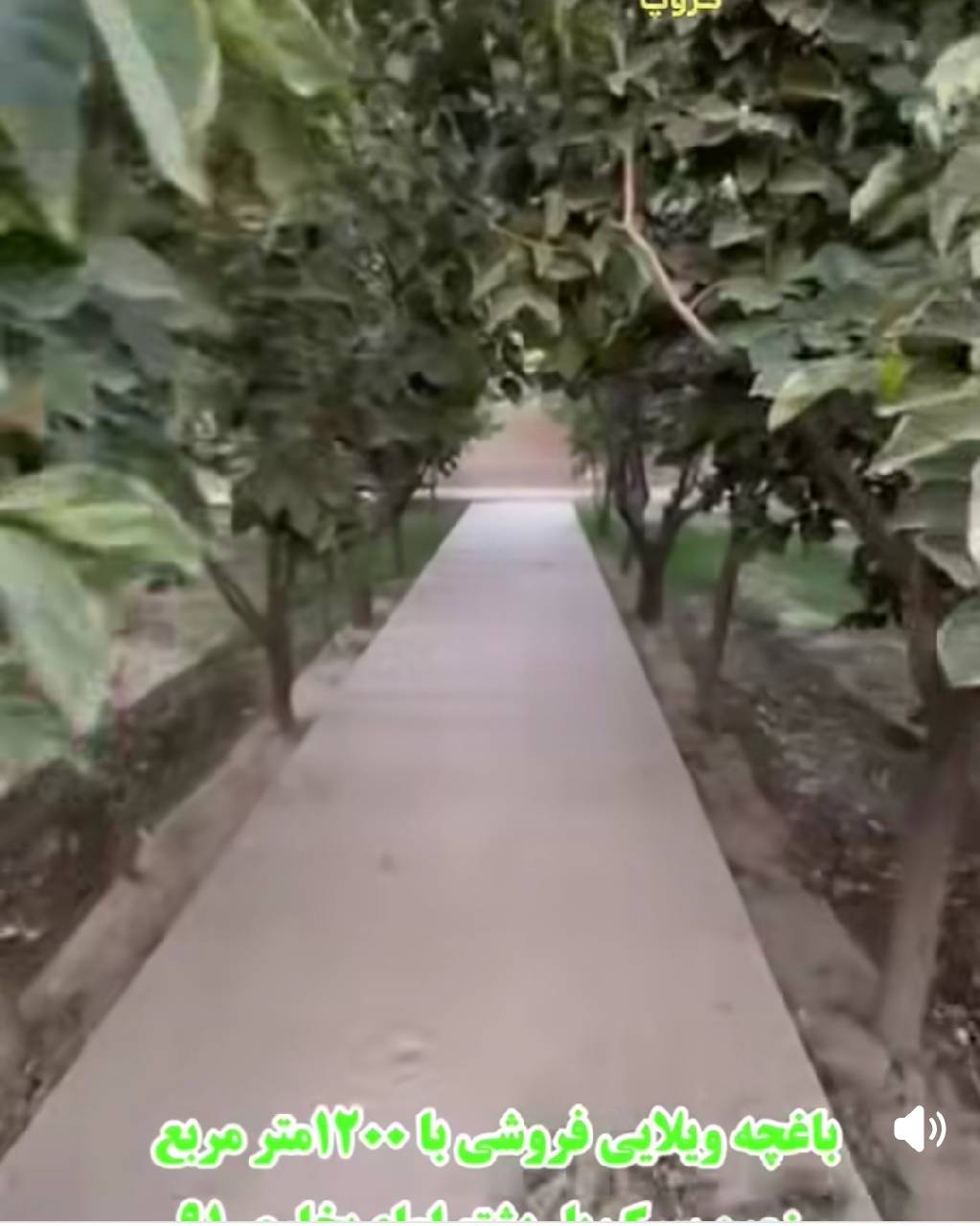 باغچه ویلایی ۱۲٠٠ متر-هرات پل پشتو