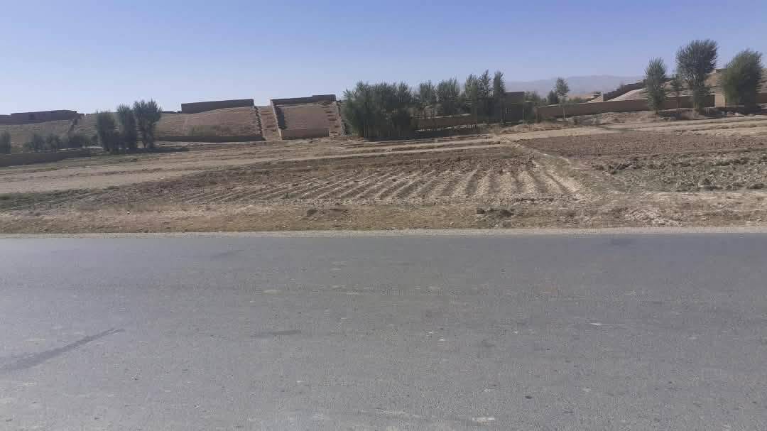 سه. نمره زمین فروشی، پوزه لچ _غور
