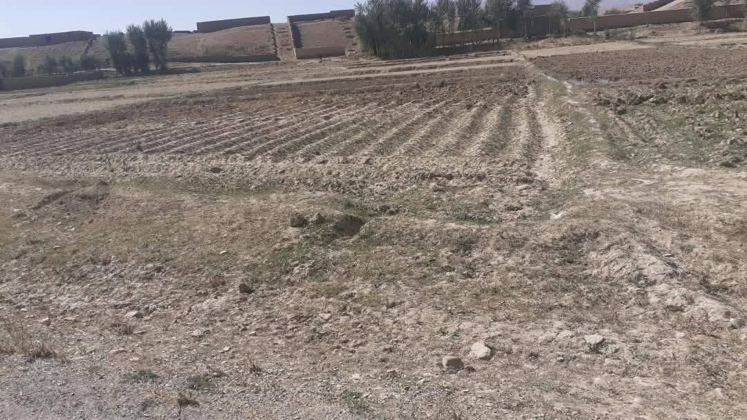 سه. نمره زمین فروشی، پوزه لچ _غور