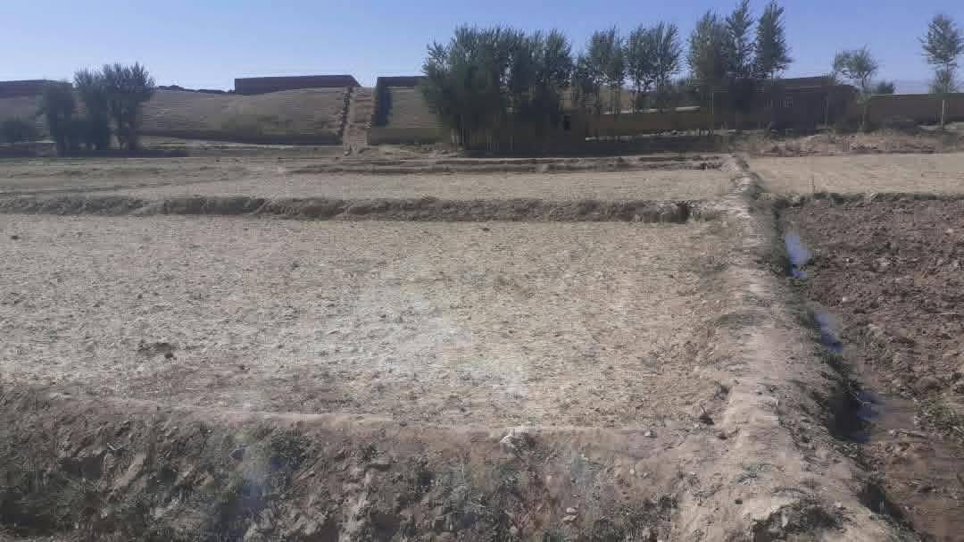 سه. نمره زمین فروشی، پوزه لچ _غور