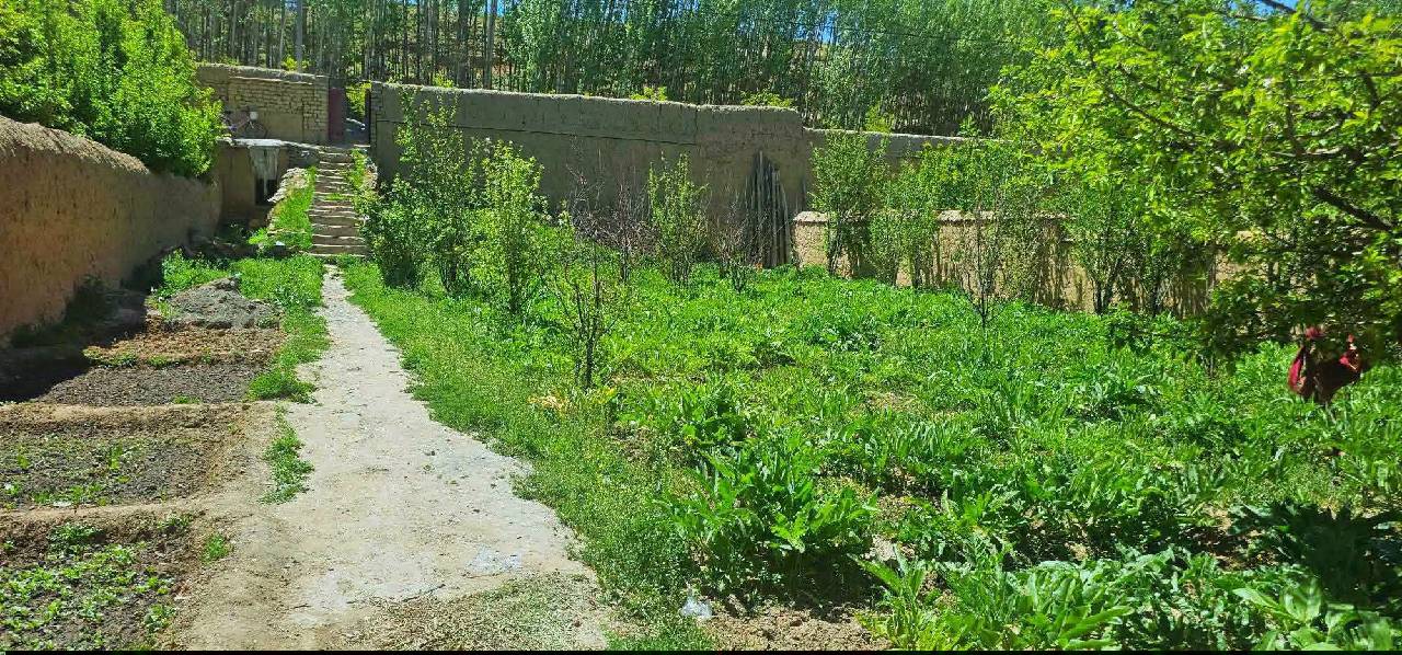 نمره فروشی مساحت ۶۰۰متر مربع فیروز کوه زیر کوتل وردک ها، غور